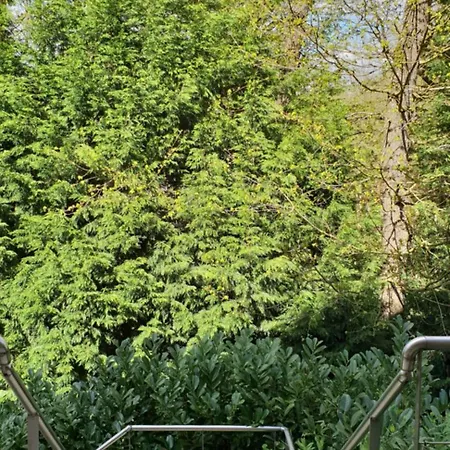 Sleep And Dream Frühstückspension Lüttich