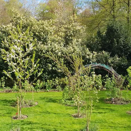 Sleep And Dream Lüttich