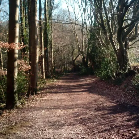 Sleep And Dream Lüttich