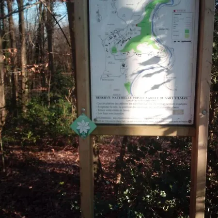 Sleep And Dream 3* לייז'