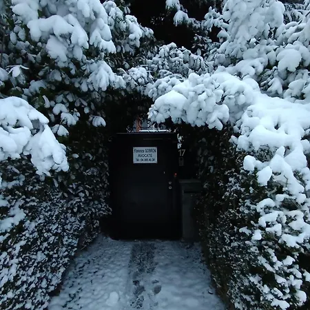 Sleep And Dream Liege