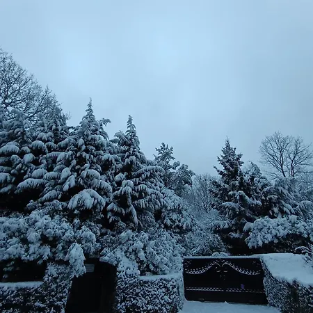 Sleep And Dream Bed & Breakfast Liege